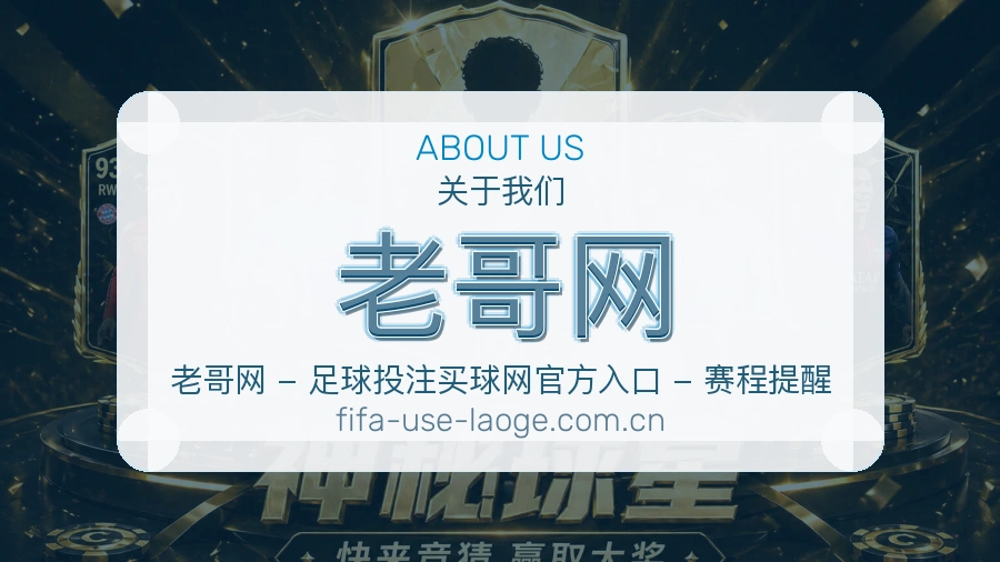 老哥网服务范围介绍